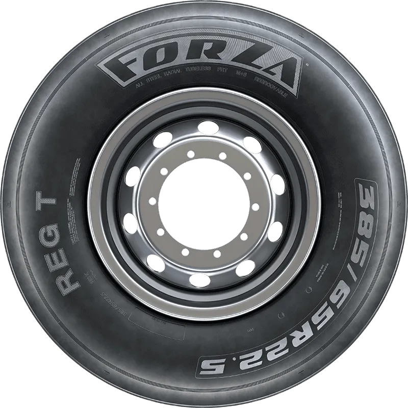 FORZA REG T в Касли — KAMA TYRES FORZA REG T в Касли